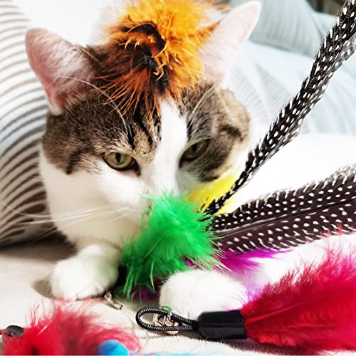 Cat Feather Toys Refills, 8 Pieces Natural Da Bird Feathers Refill, Cat Wand Replacement Feather for Indoor Cats (D) - color: D-8 PCS Feather Refills