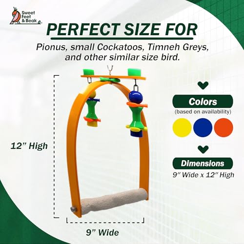 Sweet Feet and Beak Whirly Bird Swing, Medium Indoor Pedicure Perch - size: Medium