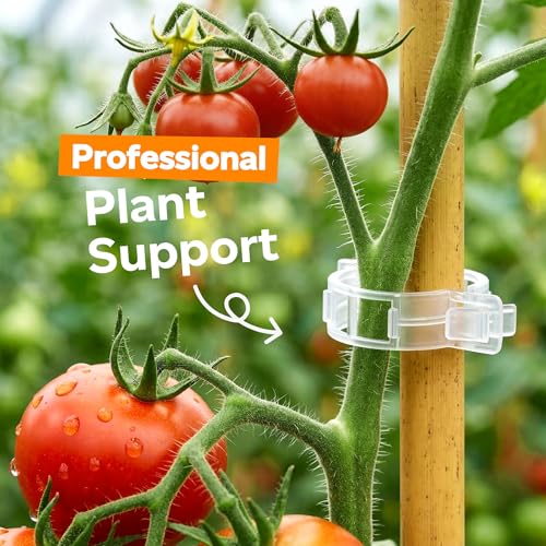 LOOHOI 100Pcs Tomato Clips for Climbing Plants Trellis Plant Support Clips | Reusable Clips for Supporting Grape Tomato Vine and Vegetables Plants to Grow Upright Makes Plants Healthier (Translucent) - color: Translucent