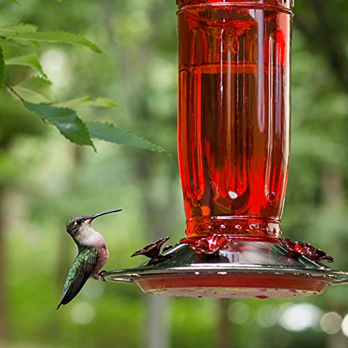 Kingsyard Glass Hummingbird Feeder for Outdoors Wild Bird Feeder with 6 Feeding Ports Hanging for Garden Yard, Red (Ant Moat Included) - color: Red