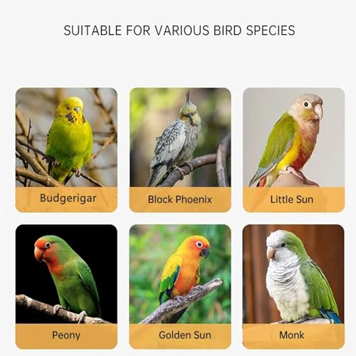Parrot Flying Rope Lightweight Bird Harness Leash with Foot Ring Leg Band Elastic Bird Flying Leash Outdoor Training Traction Rope for Macaw African Greys Parakeet Cockatoo Sun Conure