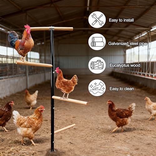 Large Chicken Perch Toys for Coop,Wooden Chicken Roosting Bars with 3 Legs Metal Ground Plug,1.25-Inch Thickened Steel Pipe, Improved and Upgraded Design of Wooden Pole Embedded in The Steel Pipe