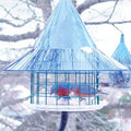 Bluebird Feeder for Bluebirds and Orioles, Large 17" Diameter Dome, Squirrel-Proof - Free Squirrel Mug