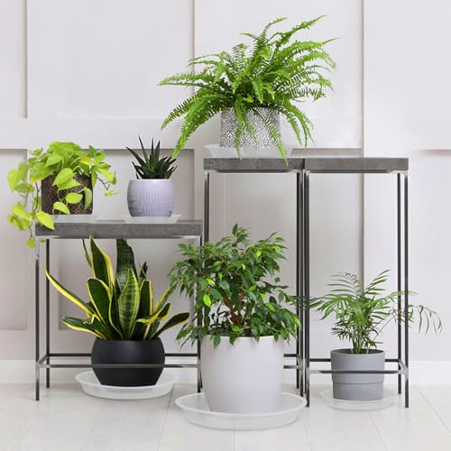 Plant Saucers 3 4 5 6 7 8 9 10 11 12 14 Inch, 5 Pack Clear Plastic Plant Trays for Pots, Durable Plant Water Catcher Tray for Indoors Outdoors (14", Clear) - size: 14 INCH