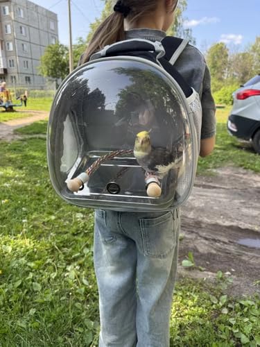 Small Bird Travel Backpack Carrier Cage, Backpack to Transport Backpack Carrier with Metal Tray Stand Perch for Parakeet Cockatiel Budgies Vet Carry Book Bag Black - color: Black