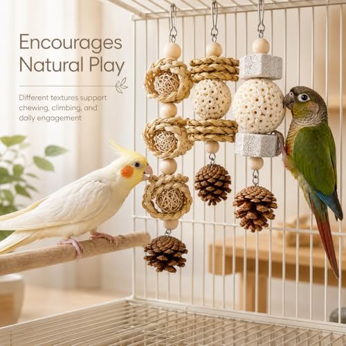 3 Pack Bird Toys for Small Birds, Texture-Rich Shredding & Chewing Toys with Sola Ball, Rattan Balls, Pumice Stone and Pinecone, Hanging Cage Toys for Budgies, Cockatiels, Lovebirds and Small Conures - size: 3 Pack