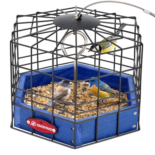 Kingsyard Squirrel Proof Platform Bird Feeder, Metal Mesh Tray | Recycled Poly Lumber Body, Great for Small Wildbirds Finches Bluebird Mealworm, Blue - color: Blue