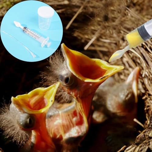 Parrot Hand Feeding Kit for Baby Birds – Bird Feeding Syringe Set with Stainless Feeding Spoon, Soft Feeding Tubes, Complete Baby Bird Feeding Kit for Parrots, Cockatiels, Lovebirds