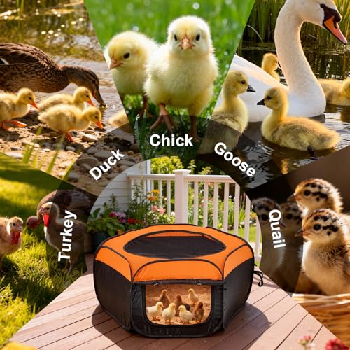 Brooder Box for Chicks, Pop-Up Chicken Brooder Playpen with Dual Doors | Includes Mesh Top Cover and Waterproof Mat, Portable Enclosure for Chicks, Ducklings, and Quail, Holds Up to 15 Chicks