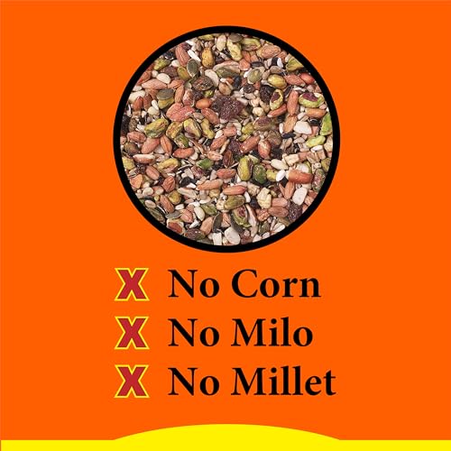 Wild Delight Woodpecker, Nuthatch N' Chickadee Food, 5 lb (364050) - size: 5 Pound (Pack of 1), style: Nuthatch N' Chickadee