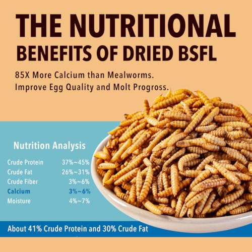 WormsFarm 11LB Dried Black Soldier Fly Larvae,Chicken Feed More Calcium Than Mealworms for Chickens,Laying Hens,Blue Birds | Treats for Wild Birds,Laying Hens,Chicken Feed - size: 11 Pound (Pack of 1)