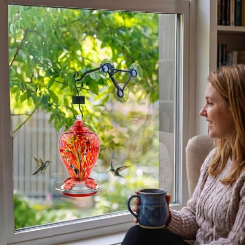 Hand Blown Glass Hummingbird Feeder with Heavy-Duty Metal Window Suction Cup Hangers Colorful Glass Bird Feeder and Window Hook with Accessories (Red)