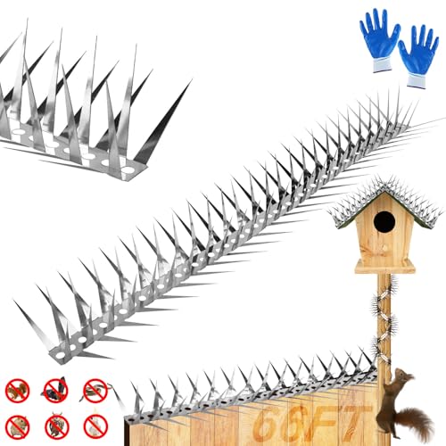 Bird Spikes 65 FT Anti Climb Spikes Stainless Steel Bird Squirrel Deterrent | Acts as squirrel baffles for bird feeders, stops squirrels stealing bird food - size: 65 FT
