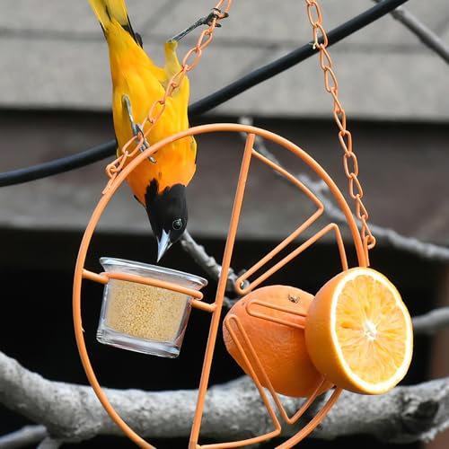 Angoily Oriole Feeder Replacement Cups, 5pcs Glass Bird Feeder Cups Replacement, Outdoor Hanging Small Bird Feeding Bowl, Durable Outdoor Accessories for Garden Patio Balcony