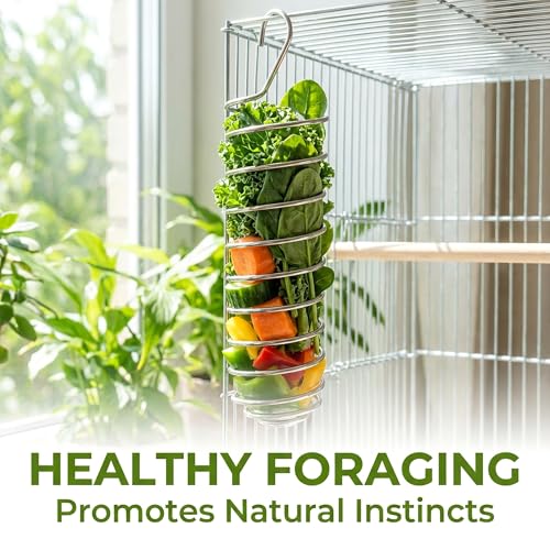 3pcs Bird Foraging Toys, Green Stainless Steel Bird Feeder Bowl, Hanging Fruit Veggie Holder Spring Parakeet Parrot Cage Accessories