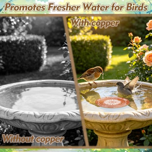 2 Pcs Copper Bird Bath Disc, Solid Copper Disk for Bird Bath, Sunflower Bird Bath Copper Disk, Natural Water Purifier for Outside Bird Bath All-Season - color: Sunflower