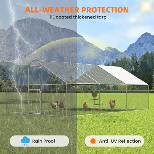 UDPATIO Large Chicken Coop & Metal Run - Spacious Walk in Pen for 20-30 Chickens with Double Feed Door, UV-Resistant Cover, Galvanized Frame - Duck & Rabbit House | Double Feed Door UV-Resistant Cover Galvanized Frame Outdoor Cage for Bird Duck Rabbit Hen