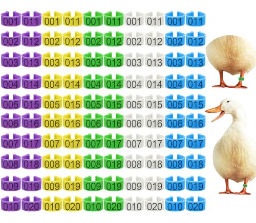Keedolla 100Pcs 20mm Chicken Leg Rings 5 Colors Numbered Chicken Identification Leg Bands Poultry Tags, Poultry Ankle Rings for Ducks Guinea Goose Gamefowl Turkey - Medium - size: 20mm - 5 Colors