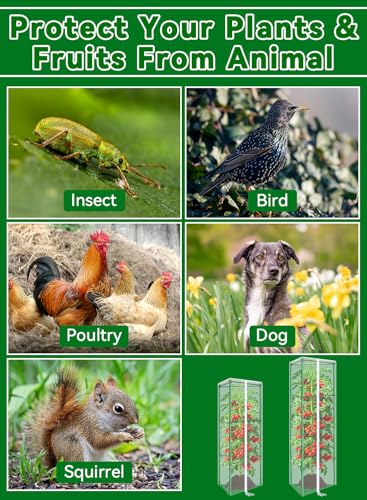 61x16.1 in Garden Tomato Plant Cover Netting for Tomato Cage | 2 Pack Durable Garden Bird Netting with Zipper & Drawstring, 61 x 16.1 In, Insect Barrier, Plant Covers from Insects Animals - size: 61inch
