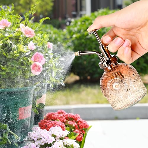 Glass Plant Mister Spray Bottle, 230ML Vintage Plant Spritzer, Succulent Watering Bottle Glass with Top Pump, Small Plants Sprayer Watering Can for Indoor Outdoor House(Brown White) - color: Brown and White Gradient Color