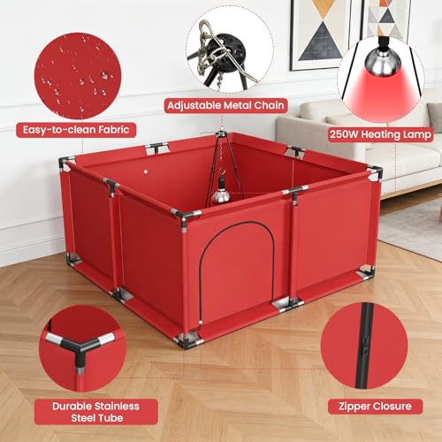 Brooder Box for Chicks, All-in-One Chick Starter Kit, Stainless Steel Frame Baby Chicken Brooder Playpen with 250W Heat Lamp, Perch, Feeder & Waterer Set, Up to 30 Chicks, Square Style