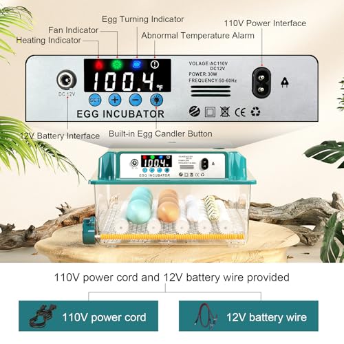 Egg Incubator for Hatching 16 Eggs|24 Quail Eggs, All-in-One Auto Incubator | Automatic Egg Turning, Precise Temperature Control, Stable Humidity Control, Adjustable Rollers for Duck, Goose, Pigeon Eggs