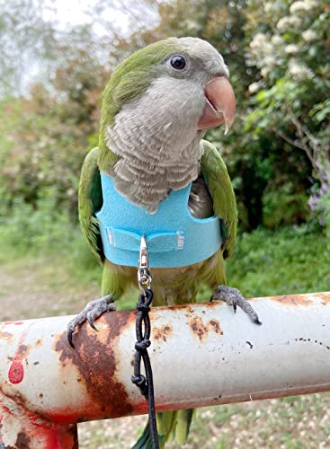 Bird Flight Harness Vest, Parrot Flight Suit with Leash for Parakeets Cockatiels Conures Budgies, Bird Flying Clothes with Rope and Handle for Outdoor Activities Training, Anti Bite (S, Blue)