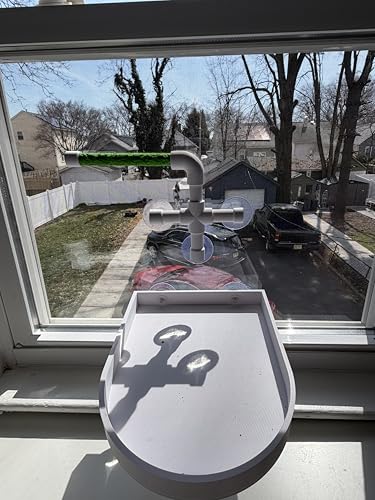 CleanPerch™ Window Bird Perch with Suction Cups. Grooming & Outside Viewing Perch for Parrots, Conures & Small Birds. Window-Mounted Bird Stand (White/Green, 6") - color: Green, size: 6"