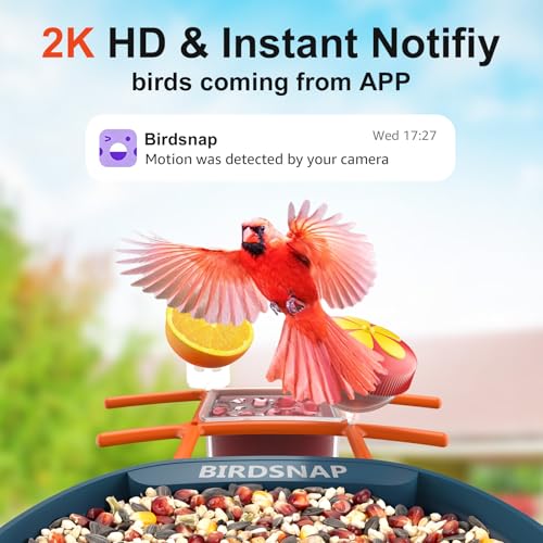 birdsnap® PAV Bird Feeder with Camera Solar Powered 2K Live Video 32GB Card | AI Bird Species Identification, Instant Arrival Alerts, IP65 Waterproof, Wild Bird Feeders for Outdoors, Gift for Bird Lovers - color: Blue