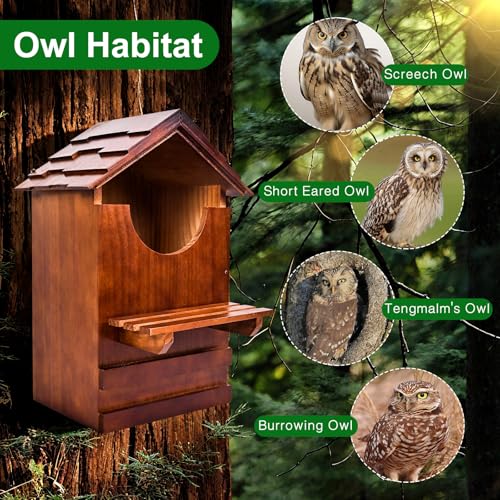 Large Barn Owl House, Large Opening Wooden Owl Houses for Outdoors, Ventilated and Moisture-Protected OwlBox with Mounting Screws and A Bag of Wood Shavings(8 * 7 * 15inch)