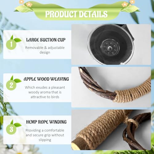 La La Pet Suction Cup Bird Perch Swing and Ring Set Sucker Bird Standing Rack Multifunctional Wooden Parrot Toy for Small and Medium Birds Cockatiel Parakeet Lovebirds Medium