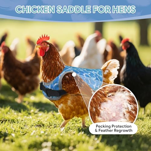 Chicken Saddles for Hens, Chicken Aprons for Hens with Adjustable Straps, Hen Saddle for Chickens - color: Blue,Green,Grey