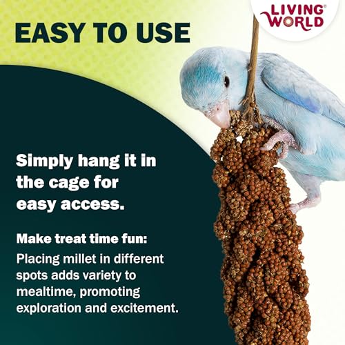 Living World - Millet Spray for Birds, 3.5 Oz – Premium Treat for Budgies, Canaries, Finches, Cockatiels and Other Pet Birds - size: 3.5 Ounce (Pack of 1)