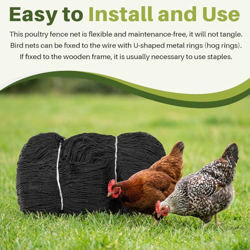 50 x 50 ft Aviary Bird Netting Chicken Netting Commercial Grade Heavy Duty Knotted 2 inch Mesh for Chicken Coops Poultry Blueberries Fruit Trees Net Aviary Garden - size: 50 x 50ft, 2 inches