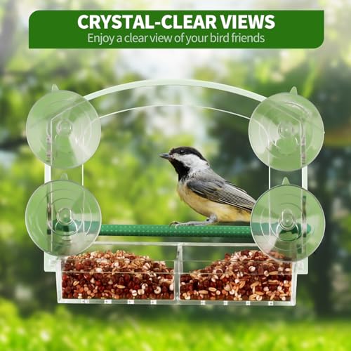 Window Bird Feeder for Outdoors, Acrylic Bird Feeder with Strong Suction Cups, Perfect for Up-Close Viewing, Removable Seed Tray with Drain Holes to Keep Nuts Fresh & Dry, Clear
