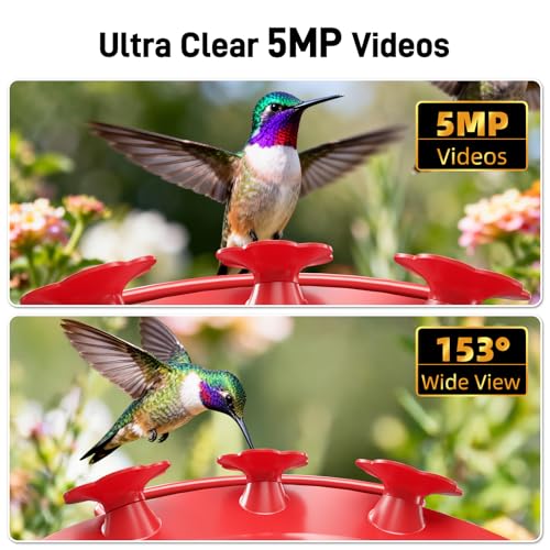 Hummingbird Feeder with Camera Outdoor, 5MP HD Smart Hummingbird Feeder Camera Solar Powered, AI Bird Identification, Ant Moat & Bee Proof, APP Alerts, Hanging or Pole Mount, Gift for Bird Lovers