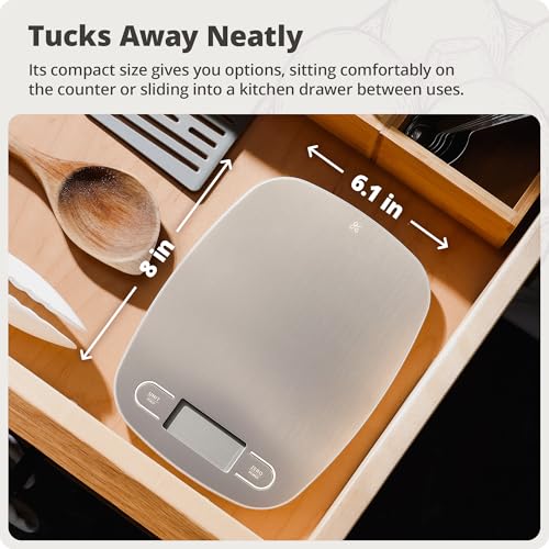Greater Goods Food Scale, Slim & Compact, 1g Precision (Stainless Steel) | Digital Kitchen Scale for Cooking, Meal Prep & Portion Control, Tare, Auto Shut-Off, g/oz/lb/ml Conversion & Calorie Tracking - color: Stainless Steel