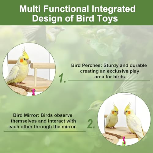 Bird Perches Platform Swing for Cage Bird Toys with Bird Mirror | Climbing Frame for Lovebirds, Budgies,Pacific Parrotlets,Chinchilla, Hamster Gym Exercise