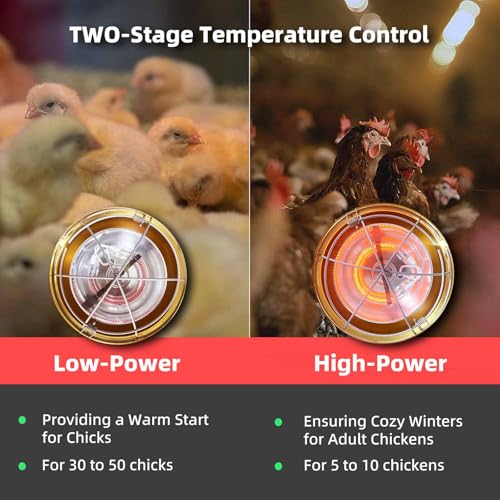 Chicken Coop Heater Inside Coop heat lamp，300 Watt Two-Stage Temperature Brooder Heater for Chicks, Duck，Poultry