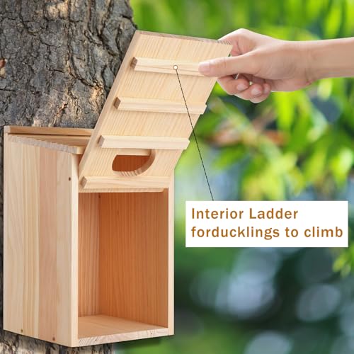 Pine Wood Duck House 17x10x10 Inches Outside Wood Shelter and Nesting Box for Hooded Mergansers and Wetland Ducks
