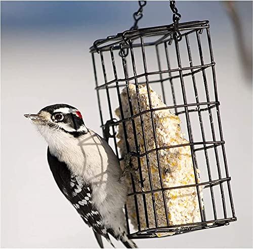 Pack of 2 Bird Suet Cake Feeder for Hanging Outside Metal Garden Yard Wildbird Woodpeckers Feeding