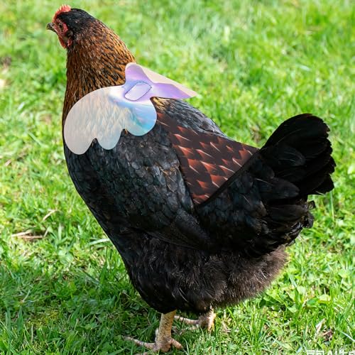 Chicken Saddles for Hens with Detachable Wings, Adjustable Hen Apron Back Protector for Feather Recovery, Double-Layer Breathable Poultry Saver for Standard Breeds (Black 2pcs) | Double-Layered Breathable Poultry Back Protector For Hens During Mating And