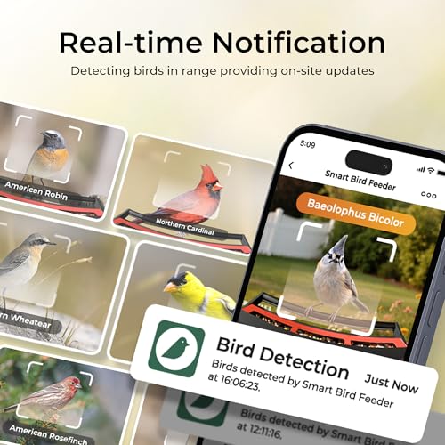 Smart Bird Feeder with Camera, Heavy-Duty Chew-Proof Metal Casing, Solar Powered, AI Identify Bird Species & Instant Notifications, 3.2L Large Capacity Bird Watching Gift, Red