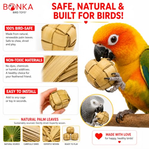 Bonka Bird Toys 1256 Pk3 Mini Palm Leaf 1.50" Square Boxes, Medium Parrot Forage Chew Foot Talon Cage Toys, African Grey, Conure, Pionus, and Similar Birds