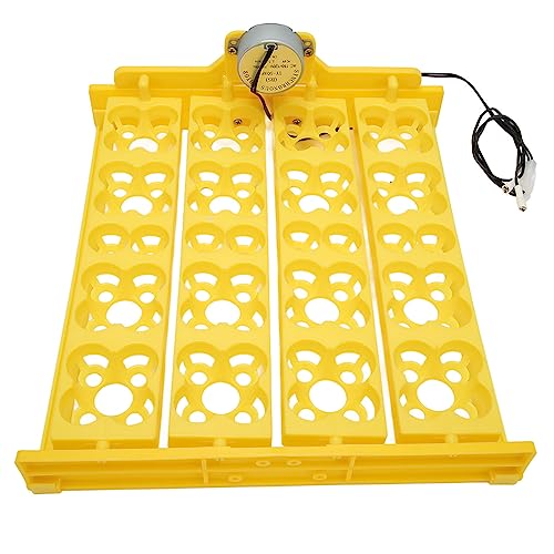Automatic Egg Turner Tray - Multifunction Incubator Tray for 16 Duck Eggs, 72 Quail Eggs (AC110V) - size: AC110V