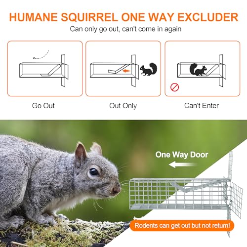 One Way Squirrel Door Excluder, Humane Squirrels, Chipmunks Contactless Excluder, for Outdoor Spaces Like Attics, Chimneys - Includes Full Installation Kit