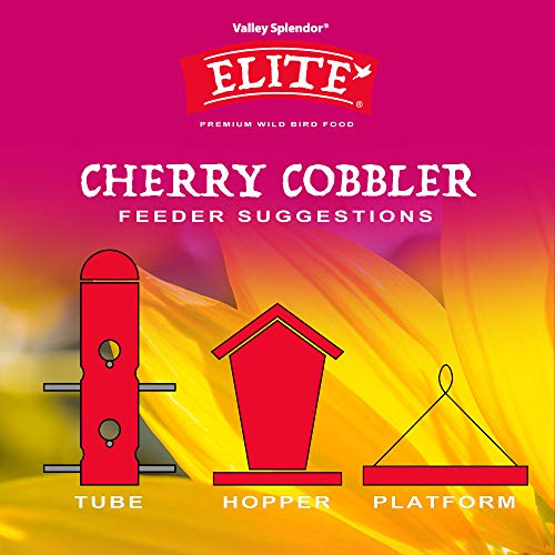 Cherry Cobbler - size: 5 Pound (Pack of 1)