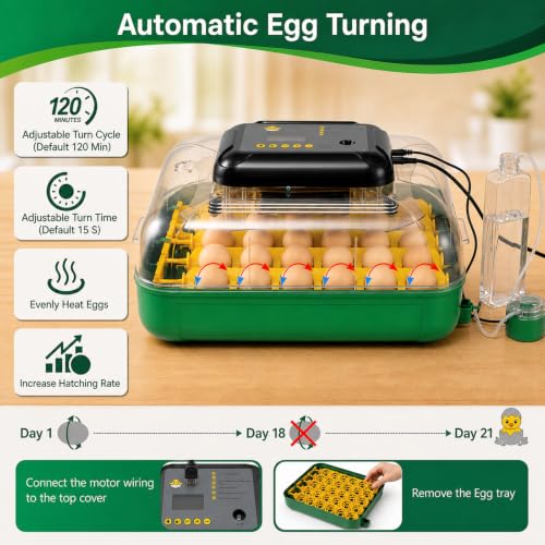 Egg Incubators for Hatching 30 Eggs with Temperature Humidity Control,Green | Chicken Incubator with Humidity Display Auto Water Filling,Quail Incubator with Automatic Egg Turning - color: grass green