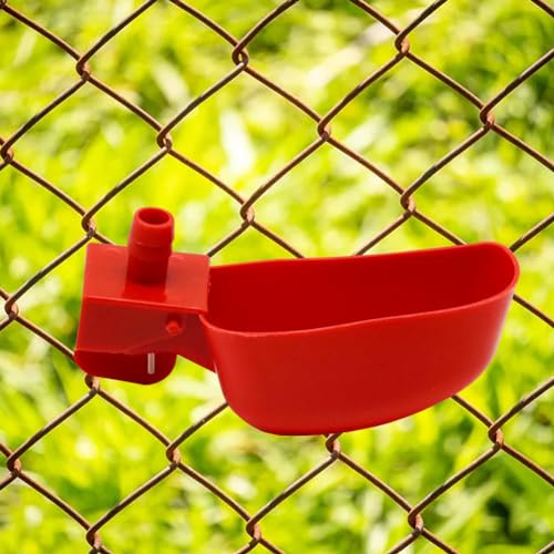12Pcs Quail Water Cups Pigeon Automatic Bird Waterer for Cage Hang Drinker Breeding Poultry Drinking Bowls(Red) - color: Red