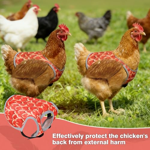 3 Pcs Chicken Saddle for Hens with Wing Protector, Chicken Apron & Vest Jacket with Adjustable Straps, Oxford Waterproof Fabric, Protective Gear Against Pecking and Feather Damage